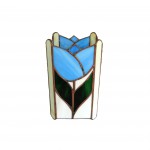 DSCN3012